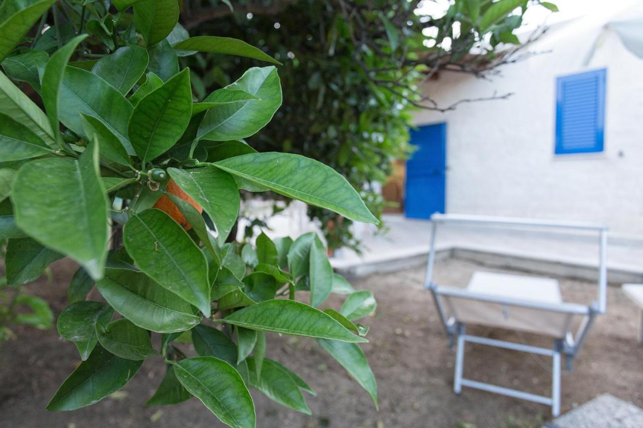 B&B Villa Seta Agrigento Zewnętrze zdjęcie