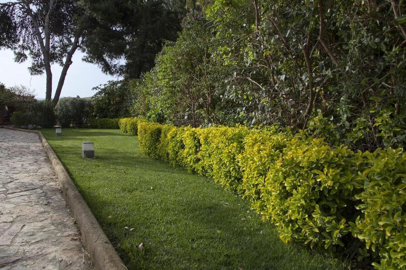 B&B Villa Seta Agrigento Zewnętrze zdjęcie